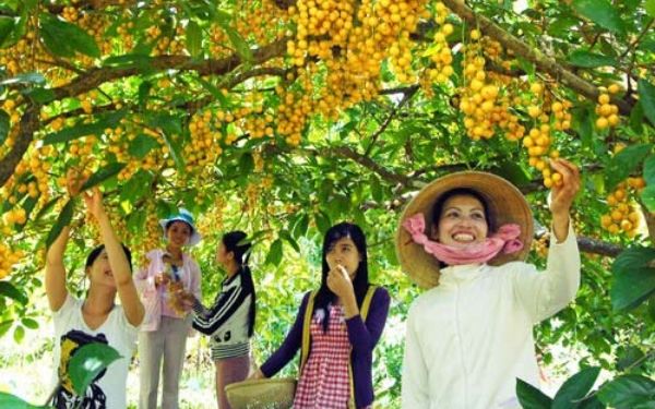 5 khu du lich ca mau nhat dinh phai den 6
