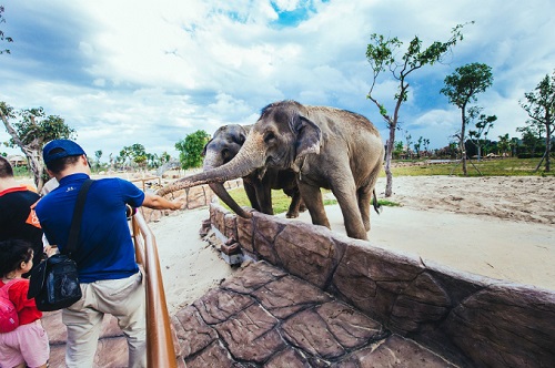 5 trải nghiệm đẳng cấp ở Vinpearl Đà Nẵng không nên bỏ lỡ 8 5-trai-nghiem-dang-cap-o-vinpearl-da-nang-khong-nen-bo-lo-8