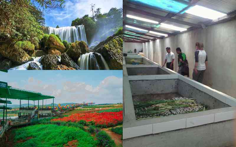 Tham quan Cafe Mê Linh - Thác Voi - Trang trại Dế