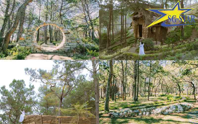 Khu du lịch rừng hoa Đà Lạt có gì hấp dẫn mà thu du du khách đến vậy? | Saigon Star Travel Địa điểm check-in vạn người mê tại Cafe Rừng Hoa Đà Lạt