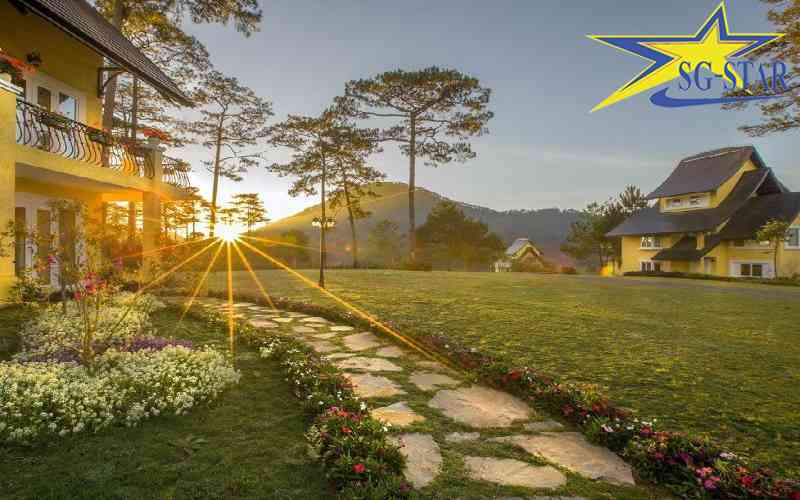 Du lịch Đà Lạt tháng 3 - Mê mẩn mùa hoa phượng tím dịu dàng | Saigon Star Travel Nắng vàng nhẹ rất thích hợp cho 1 chuyến du xuân đến Đà Lạt