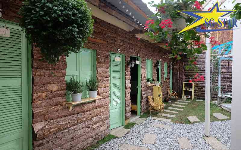 Kể về chuyến du lịch Đà Lạt - Thời Thanh xuân tươi đẹp của tôi | Saigon Star Travel Màu xanh được giới trẻ yêu thích trong thời gian gần đây