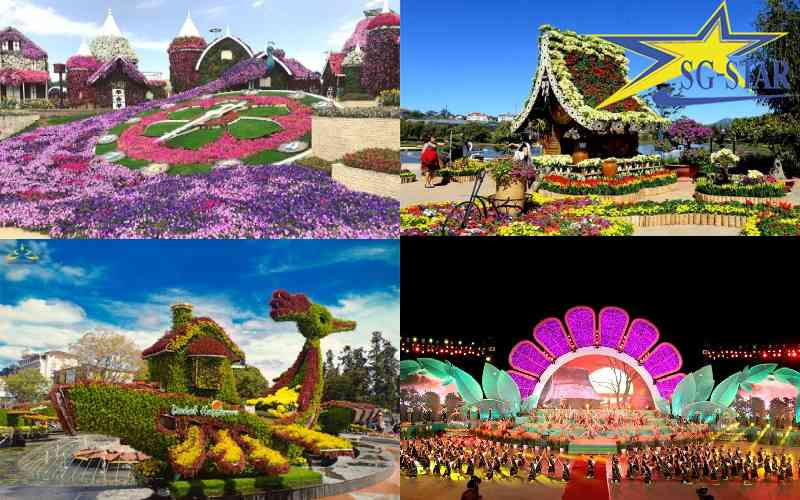 Khám phá các loài hoa được mong chờ nhất trong du lịch Đà Lạt tháng 12 | Saigon Star Travel Festival hoa đặc sắc tại Đà Lạt