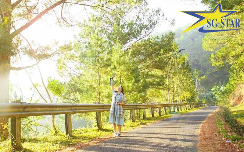 Đà Lạt mộng mơ dưới ánh nắng