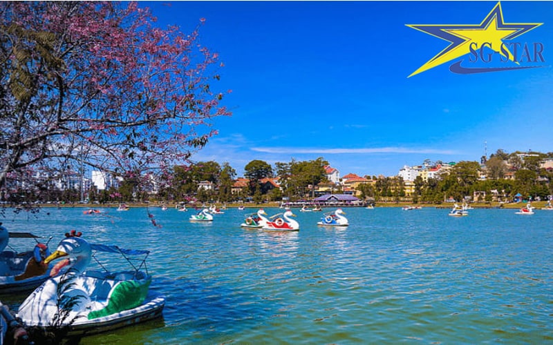 Bật mí kinh nghiệm du lịch Đà Lạt cho gia đình chi tiết và tiết kiệm nhất | Saigon Star Travel Hoạt động vui chơi đạp vịt tại Hồ Xuân Hương