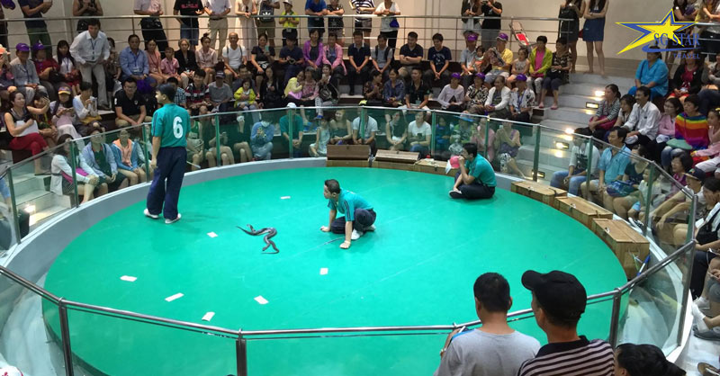 9 địa điểm du lịch nổi tiếng Thái Lan không thể bỏ qua | Saigon Star Travel 9 dia diem du lich noi tieng thai lan khong the bo qua 2854 10