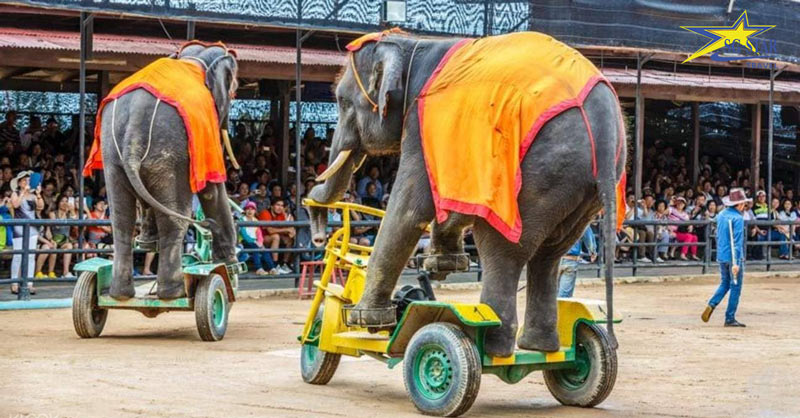 9 địa điểm du lịch nổi tiếng Thái Lan không thể bỏ qua | Saigon Star Travel 9 dia diem du lich noi tieng thai lan khong the bo qua 2854 6