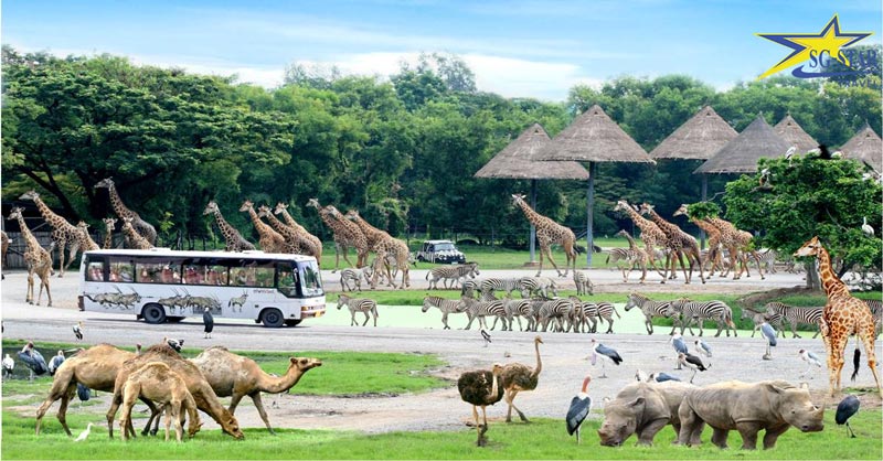 9 địa điểm du lịch nổi tiếng Thái Lan không thể bỏ qua | Saigon Star Travel 9 dia diem du lich noi tieng thai lan khong the bo qua 2854 9