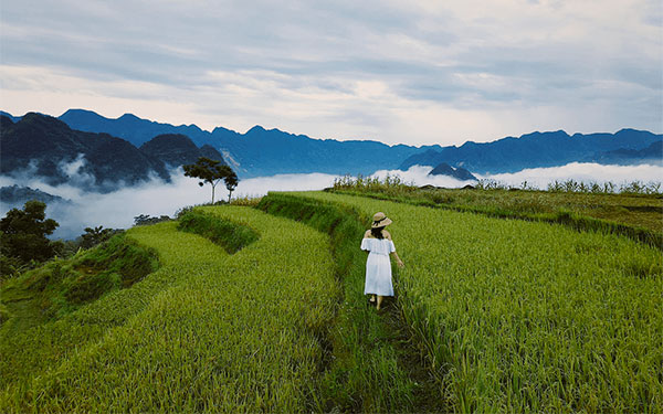 9-diem-du-lich-thanh-hoa-duoc-nhieu-nguoi-yeu-thich-1