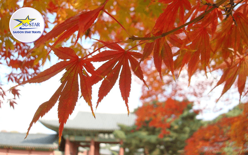 Tận hưởng trời thu với tour Hàn Quốc tháng 9 | Saigon Star Travel tour-han-quoc-thang-9
