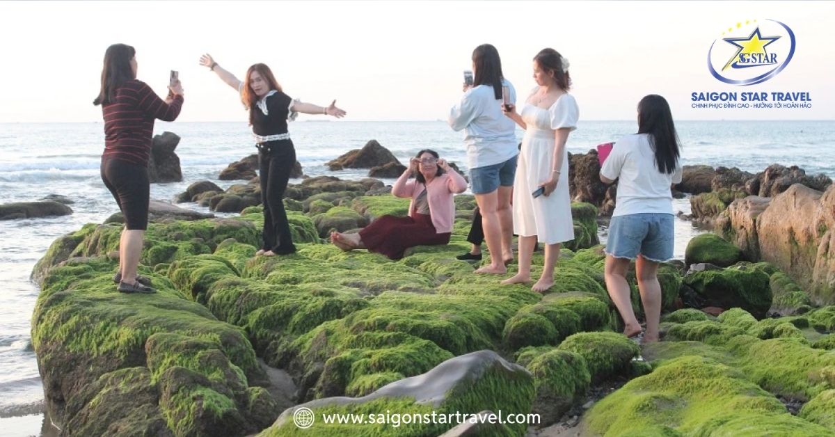 Rêu ở Cổ Thạch thu hút nhiều du khách ghé thăm chụp ảnh