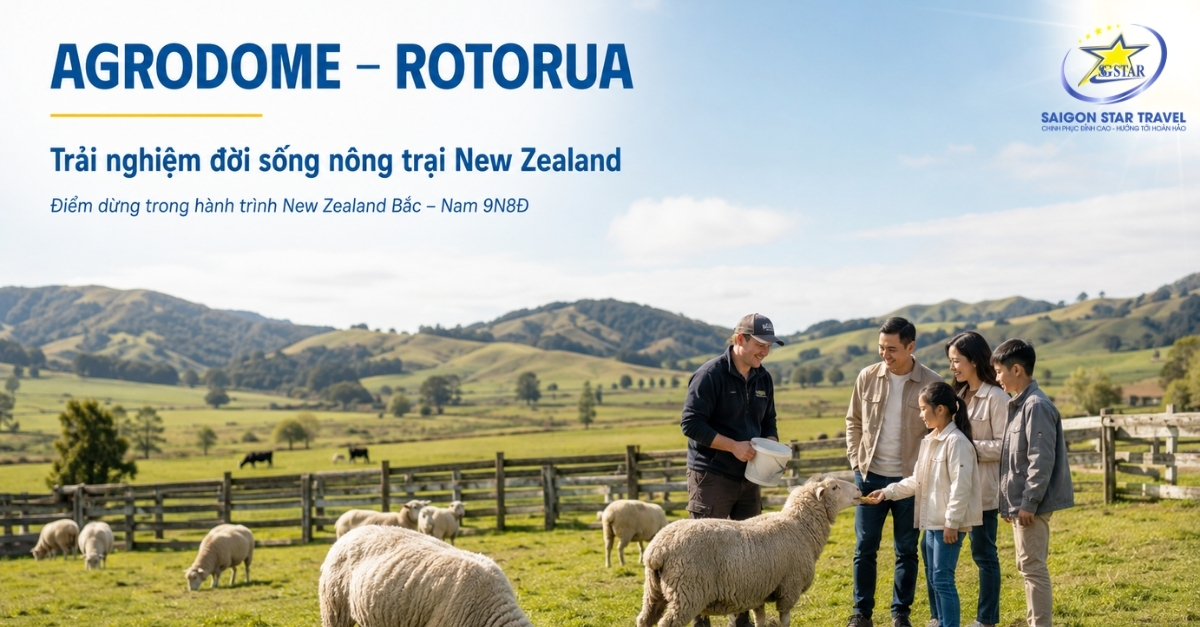 Agrodome Rotorua trong Tour New Zealand Bắc Nam 9 ngày 8 đêm