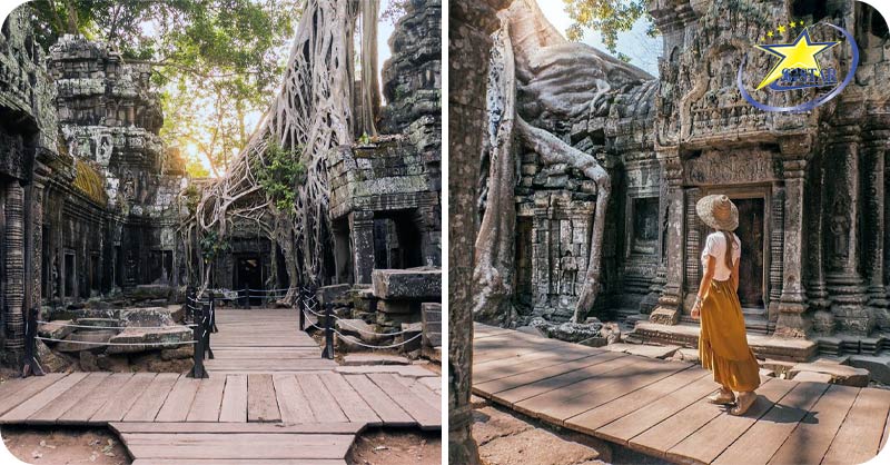 Tour Siem Reap Cambodia 4 Ngày 3 đêm | Du lịch Lễ 2/9 | Saigon Star Travel Đền Ta Prohm được bao quanh bởi những cây cổ thụ to lớn và kỳ lạ
