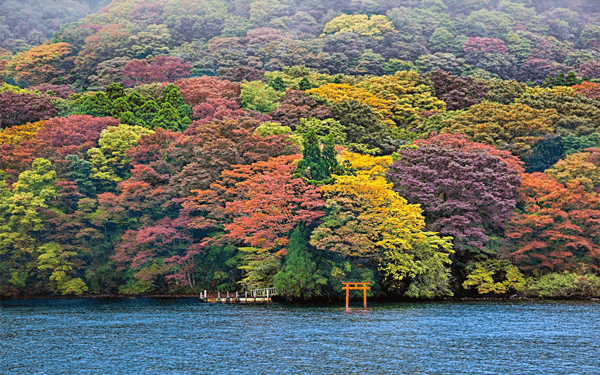 Trải nghiệm thú vị cùng tour Nhật Bản tháng 9 | Saigon Star Travel trai-nghiem-thu-vi-cung-tour-nhat-ban-thang-9-1