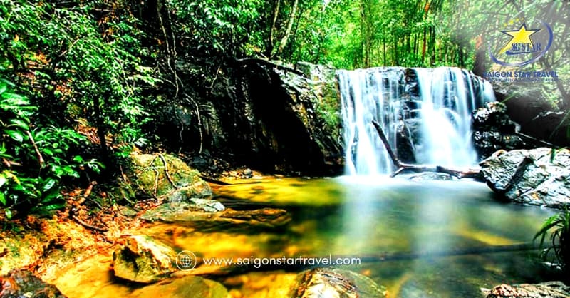 Kinh nghiệm Du lịch Bắc đảo Phú Quốc tất tần tật A đến Z | Saigon Star Travel du lịch Bắc đảo Phú Quốc - Rừng Quốc Gia