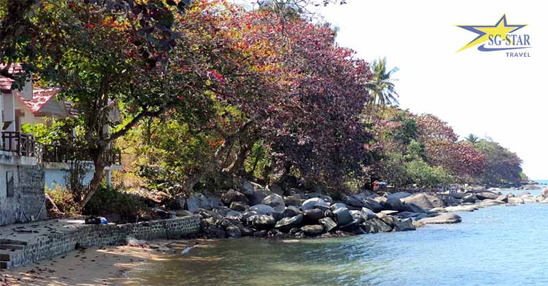 Review Du Lịch Đảo Hòn Tre Kiên Giang từ A- Z | Saigon Star Travel Bãi Chén Kiên Giang