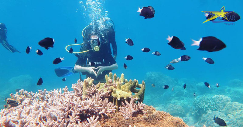 Bãi Sao Phú Quốc và những điều hấp dẫn có thể bạn chưa biết | Saigon Star Travel Lặn biển ngắm san hô ở Bãi biển Phú Quốc bằng bình dưỡng khí