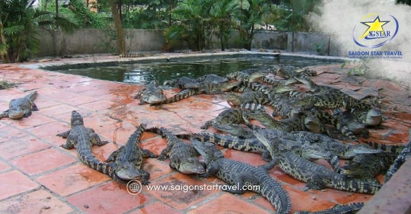 Bãi Thơm Phú Quốc - Điểm Đến Hoang Sơ Phía Bắc Đảo Ngọc Đáng Khám Phá | Saigon Star Travel bai-thom-phu-quoc (3)