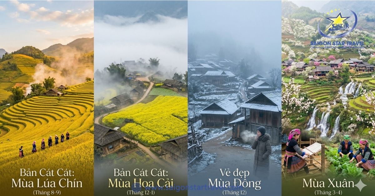 Vẻ đẹp bốn mùa rực rỡ tại Bản Cát Cát.