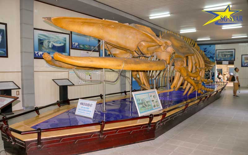 Bản đồ du lịch Thành phố biển Nha Trang từ A - Z | Saigon Star Travel ban-do-du-lich-nha-trang-tu-a-z-11