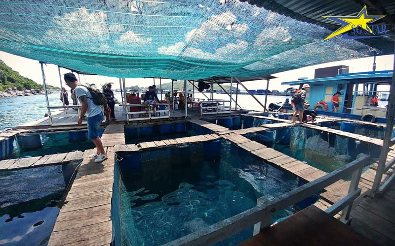 Bản đồ du lịch Thành phố biển Nha Trang từ A - Z | Saigon Star Travel ban-do-du-lich-nha-trang-tu-a-z-9