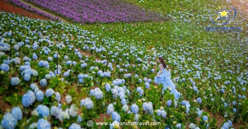 Khu Du Lịch Thúy Thuận Đà Lạt - Chốn Thiên Đường Cà Phê | Saigon Star Travel Vườn hoa đầy sắc màu tại Thúy Thuận