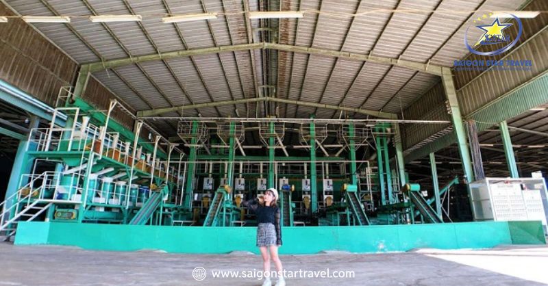Khu Du Lịch Thúy Thuận Đà Lạt - Chốn Thiên Đường Cà Phê | Saigon Star Travel Xưởng sản xuất cà phê lớn nhất Đông Nam Á