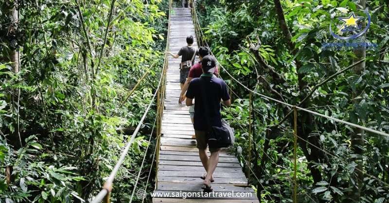 Bật Mí Khu Du Lịch Madagui Lâm Đồng Ẩn Chứa Nhiều Bí Ẩn | Saigon Star Travel Hoạt động trekking thú vị tại Madagui