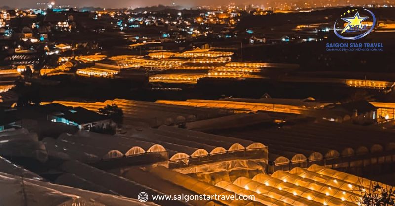 Xóm Lèo Đà Lạt - Địa Điểm Ngắm Hoàng Hôn Cực Chill | Saigon Star Travel Ngắm Thung Lũng Đèn Và Làng Hoa Thái Phiên Về Đêm Tại Xóm Lèo Đà Lạt Lâm Đồng