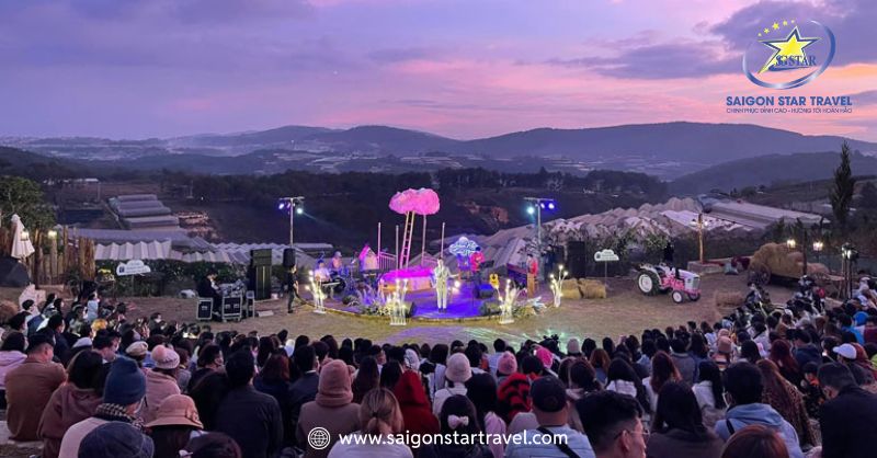 Mây Lang Thang - Nơi Ta Cùng Thả Mình Vào Âm Nhạc | Saigon Star Travel Đêm nhạc Acoustic tại Mây Lang Thang