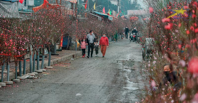 Bật mí các địa điểm du lịch miền Bắc dịp Tết Nguyên Đán 2023 | Saigon Star Travel Chuẩn bị để đón một cái Tết tuyệt vời nhất