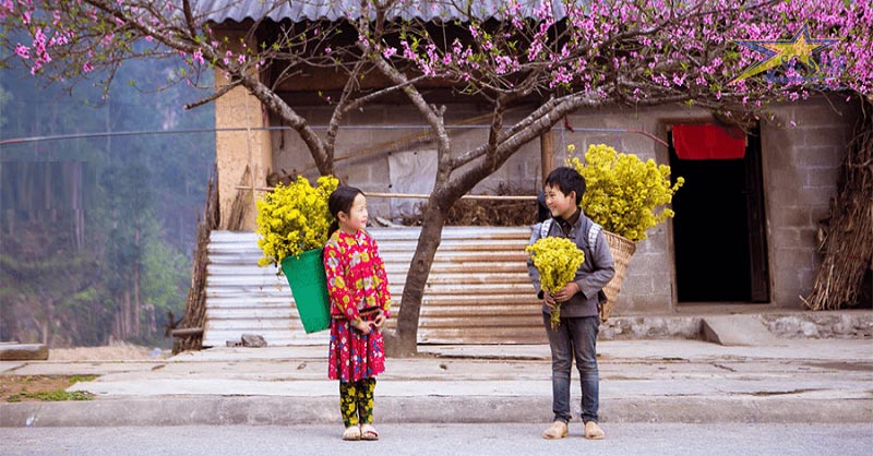 Bật mí các địa điểm du lịch miền Bắc dịp Tết Nguyên Đán 2023 | Saigon Star Travel Đến Hà Giang để cảm nhận một mùa Tết mới đẹp nhất năm