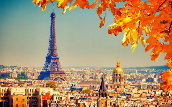 Bật mí cách xem kết quả visa Pháp online nhanh nhất | Saigon Star Travel bat mi cach xem ket qua visa phap online nhanh nhat 5