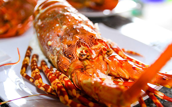 Bật mí những địa điểm nên đến khi đi du lịch Cam Ranh | Saigon Star Travel bat-mi-nhung-dia-diem-nen-den-khi-di-du-lich-cam-ranh-8