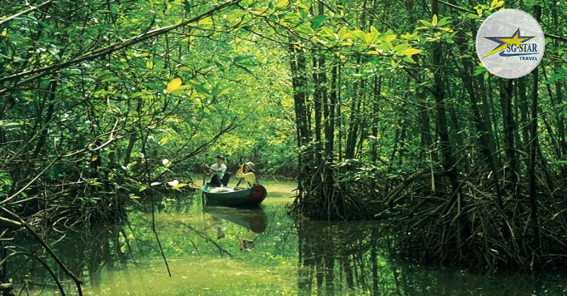 Trải nghiệm thú vị tại khu du lịch Phi Lao Cần Giờ Trải nghiệm thú vị tại khu du lịch Phi Lao Cần Giờ