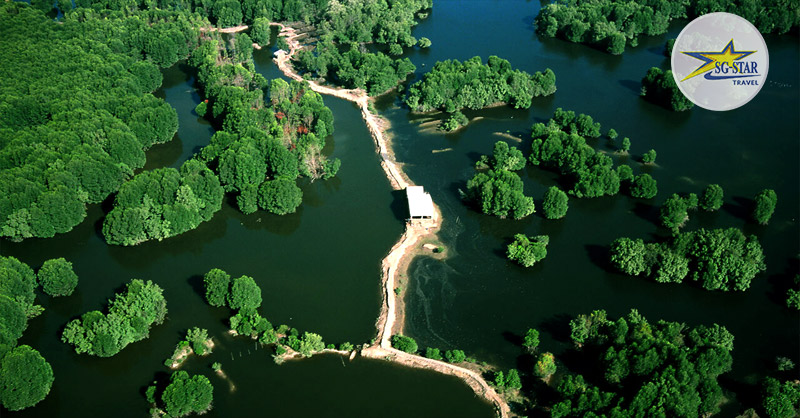 Với không gian bao trùm cây xanh của rừng ngập mặn tạo bầu không khí trong lành và thoải mái đến lạ Với không gian bao trùm cây xanh của rừng ngập mặn tạo bầu không khí trong lành và thoải mái đến lạ