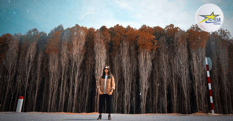 Địa điểm check-in lý tưởng cho các tín đồ đam mê xê dịch Địa điểm check-in lý tưởng cho các tín đồ đam mê xê dịch