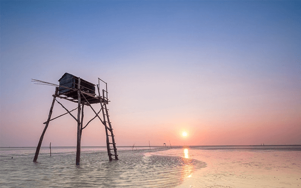Tour Tiền Giang điểm đến hot nhất mùa hè này | Saigon Star Travel tour-tien-giang-diem-den-hot-nhat-mua-he-nay-3