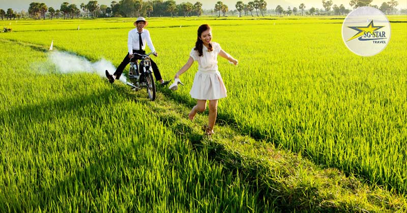 Top Địa Điểm Du Lịch Miền Nam Nổi Tiếng, Không Thể Bỏ Lỡ | Saigon Star Travel Bộ ảnh cưới đẹp ngỡ ngàng trên cánh đồng lúa xanh mơn mởn