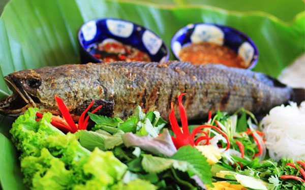 Bò Cạp Vàng có khách sạn không? – Du lịch sinh thái Bò Cạp Vàng | Saigon Star Travel bo-cap-vang-co-khach-san-khong-516-4