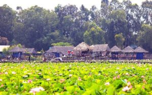bo tui 7 dia chi khu du lich sinh thai mien tay dep nhat hien nay 12