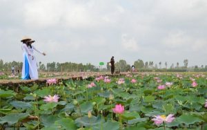 bo tui 7 dia chi khu du lich sinh thai mien tay dep nhat hien nay 13