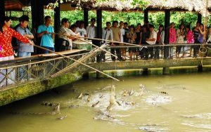 bo tui 7 dia chi khu du lich sinh thai mien tay dep nhat hien nay 5