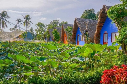 Bỏ túi bản đồ du lịch miền Tây Nam Bộ từ A - Z | Saigon Star Travel bo-tui-ban-do-du-lich-mien-tay-nam-bo-tu-a-z-7