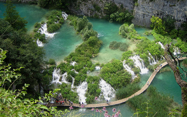 Bỏ túi kinh nghiệm tham quan vườn quốc gia Bạch Mã Huế | Saigon Star Travel bo-tui-kinh-nghiem-tham-quan-vuon-quoc-gia-bach-ma-1