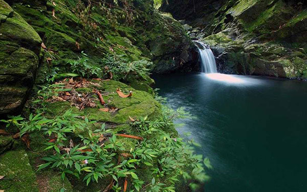 Bỏ túi kinh nghiệm tham quan vườn quốc gia Bạch Mã Huế | Saigon Star Travel bo-tui-kinh-nghiem-tham-quan-vuon-quoc-gia-bach-ma-3