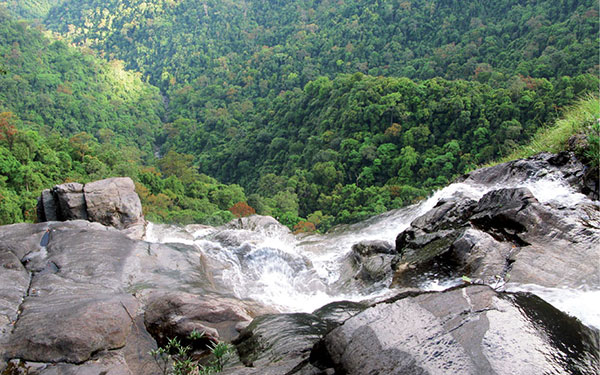 Bỏ túi kinh nghiệm tham quan vườn quốc gia Bạch Mã Huế | Saigon Star Travel bo-tui-kinh-nghiem-tham-quan-vuon-quoc-gia-bach-ma-4