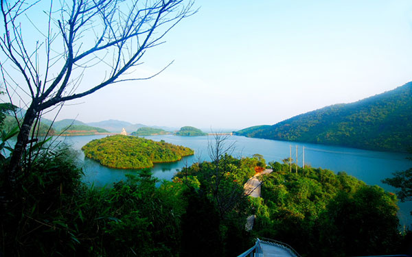 Bỏ túi kinh nghiệm tham quan vườn quốc gia Bạch Mã Huế | Saigon Star Travel bo-tui-kinh-nghiem-tham-quan-vuon-quoc-gia-bach-ma-7