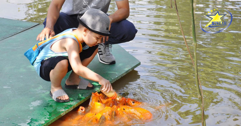 Thác Yang Bay Nha Trang – Điểm Đến Lý Tưởng Trong Dịp Hè 2023 | Saigon Star Travel Yang Bay nơi những kỷ niệm được lưu giữ lại trong tâm trí của mỗi người