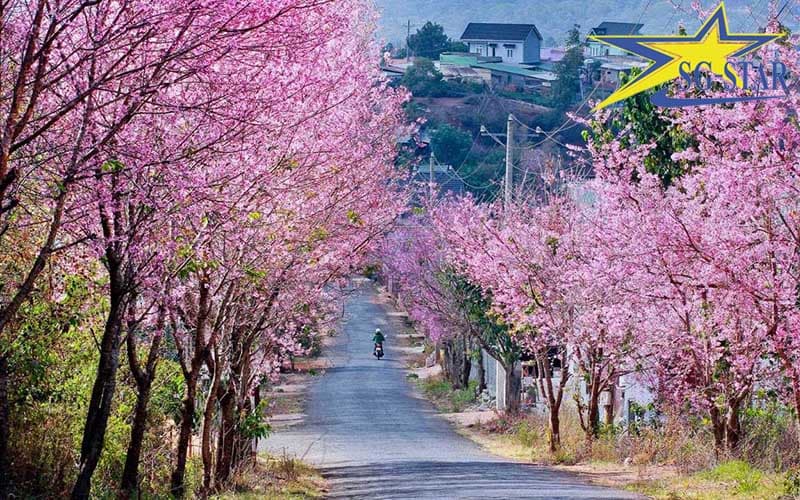 Khám phá các địa điểm du lịch gần nhau ở Đà Lạt | Saigon Star Travel cac dia diem du lich gan nhau o da lat 3